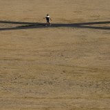 Un homme marche sur l'herbe brûlée de Greenwich Park à Londres en août 2022.